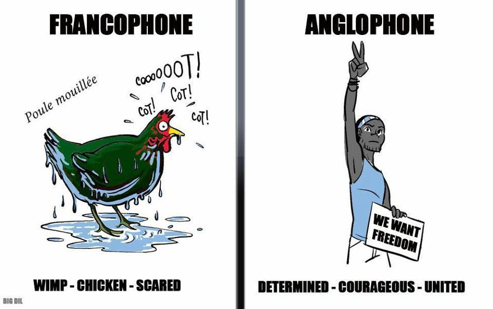 matango_club's tweet photo. #Cameroun, #CriseAnglophone
DIFFÉRENCES ENTRE #ANGLOPHONES &amp; #FRANCOPHONES https://t.co/cCgROcaYWU