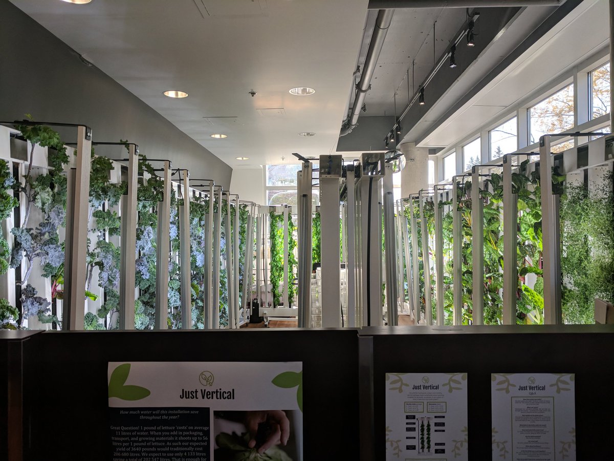 IMIUofT's tweet photo. @IcubeUTM Also, if you're visiting Oscar Peterson Hall, check out @JustVertical's #farmwall setup 😍🌱 #uoft #UTM50 #UofTFCD #utmfcd #StartSomething https://t.co/j7aeQaD2hM