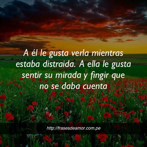 frasesDamorr2's tweet photo. A él le gustaba verla mientras estaba distraida #frasesdeamor https://t.co/AtWIH6O2wH https://t.co/53kEgt31hn