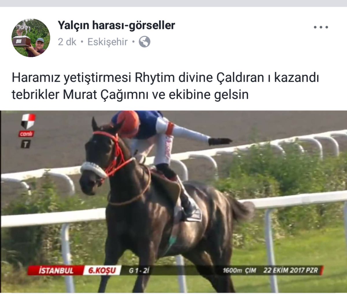 YALÇIN HARASI SATIŞ (@yekurisatis) on Twitter photo 