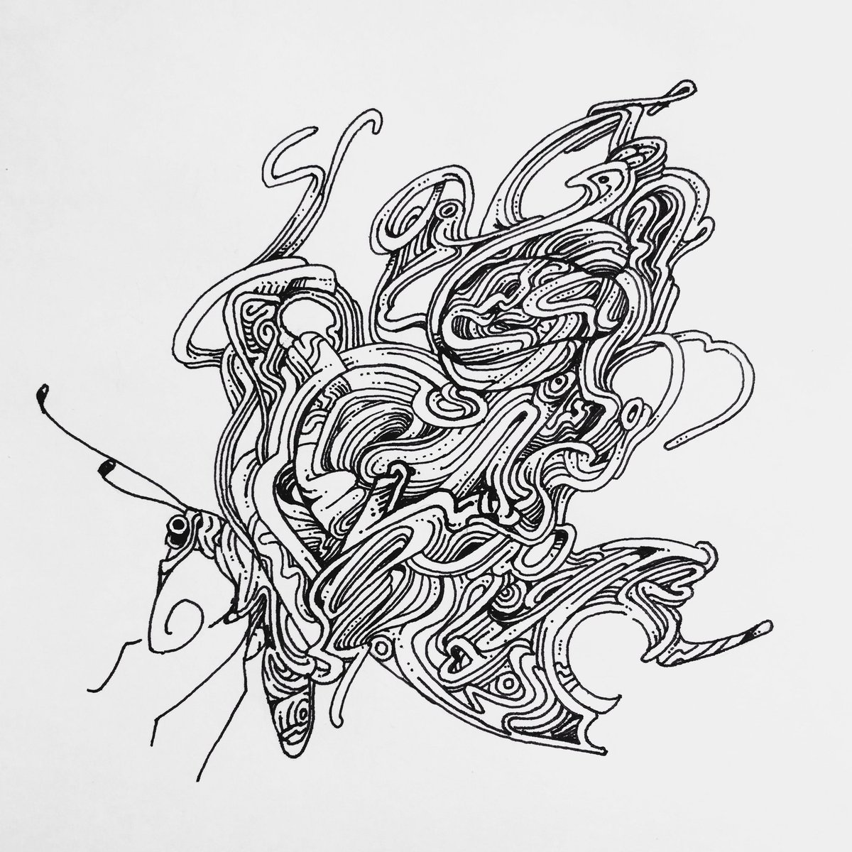 バタフライ今日は今まーでーのどんな君よーりうつーくしい。#inktober #InktoberDay20 