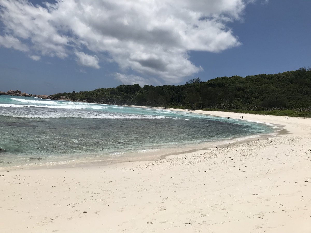 Sonntags auf den seychellen mit einer folge fest und flauschig #erholung #SundayMorning <a href="/SchulzundBoemi/">Fest und Flauschig</a>