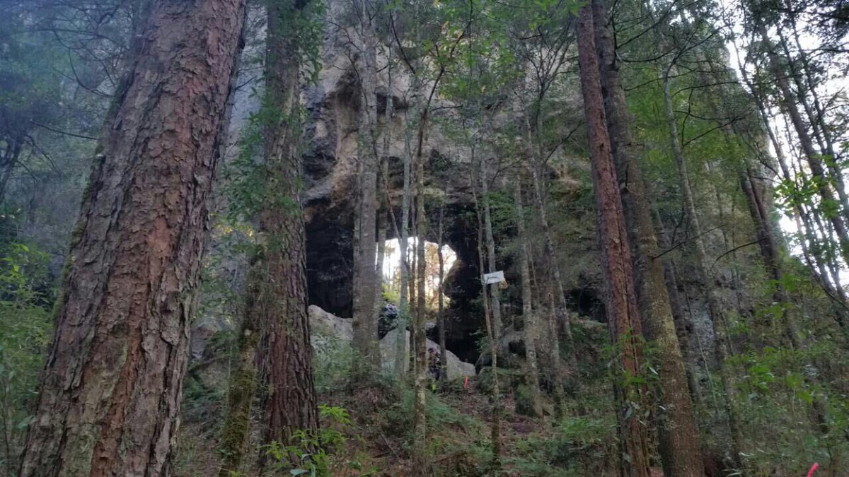 Emilio_Rivers's tweet photo. Hermoso ultra pero a la vez muy difícil #Huasca #UTMX2017 #trailrunning #salomon https://t.co/tfdV1g4hIm