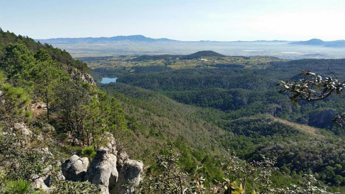 Emilio_Rivers's tweet photo. Hermoso ultra pero a la vez muy difícil #Huasca #UTMX2017 #trailrunning #salomon https://t.co/tfdV1g4hIm