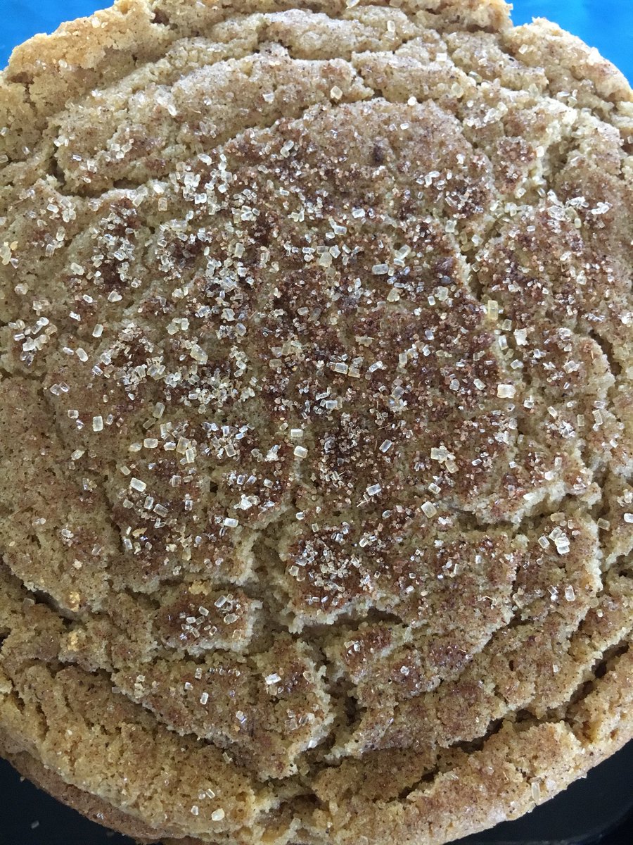 TrexCookie's tweet photo. Because a #molasses #trexcookie makes a perfect #breakfast @MplsFarmMarket stall 328 today! https://t.co/fXweIIsMQ9
