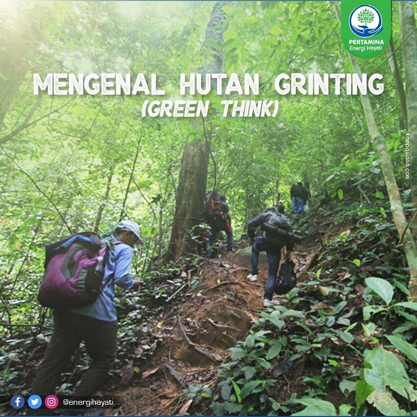 energihayati's tweet photo. Yuk, sebarkan informasi ini, Sob!
#hutan #greenthink #Subang #pertamina https://t.co/8rVy1qws9l