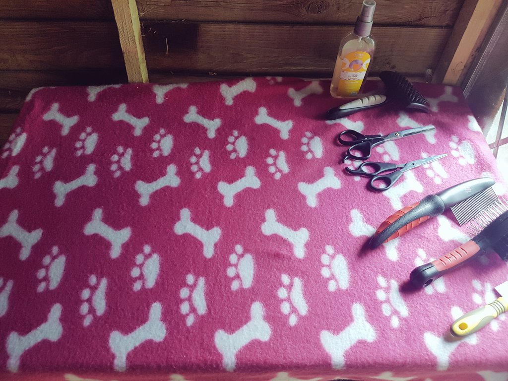 windmillfarm88's tweet photo. Grooming table set ✂🎀 https://t.co/DjxYjiarV3