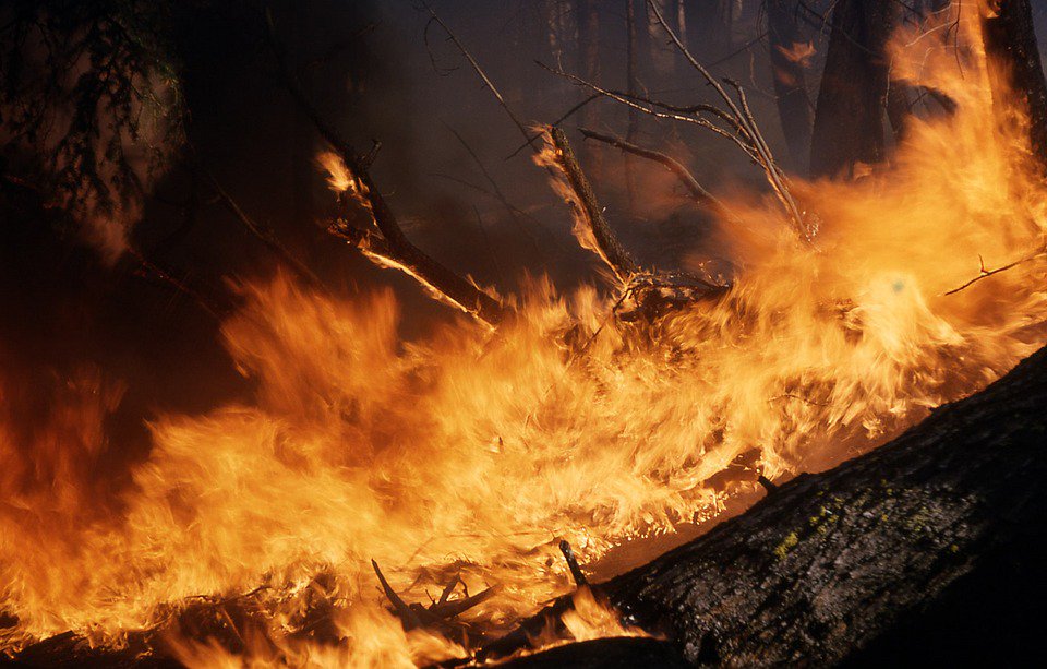 intelligentins's tweet photo. Wildfires among the costliest on record: @MoodysAnalytics
https://t.co/nyZPmGrU84 … #california #wildfire #insurance #PCIAM17 https://t.co/3Bcv0CDh0s