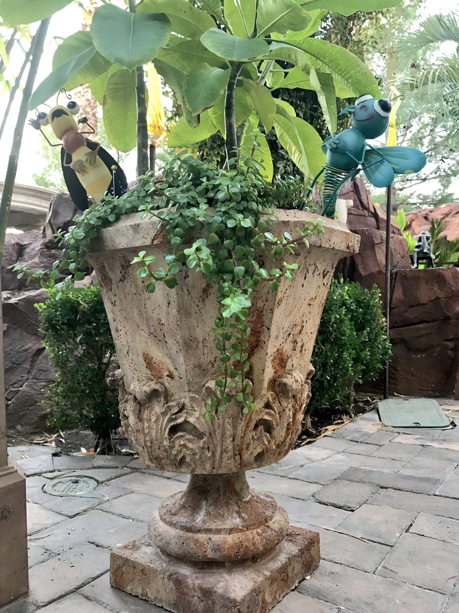 RealmofDesign's tweet image. #HappySunday #vegasstrong #realmofdesign #Recycle #GreenStone #planter #urn #morrowroyalpavilion #outdoors #outdoorliving #remodel #Art