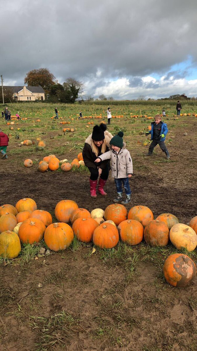 CiaraMeleady's tweet photo. So much fun collecting pumpkins today @AlrightPumpkin  🎃 #halloween #pumpkin #carving https://t.co/5PVxnDKiqI