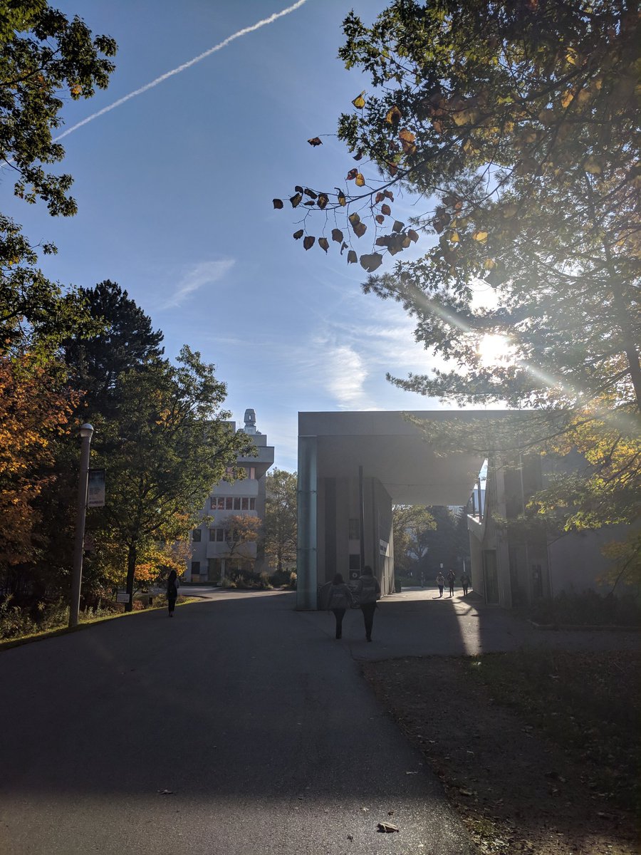 IMIUofT's tweet photo. We ordered perfect weather and perfect foliage for @UTM Fall Campus Day - welcome to all our visitors! 😊🍁🍂 #uoft #UTM50 #utmfcd #UofTFCD https://t.co/MeiTWcVeoJ