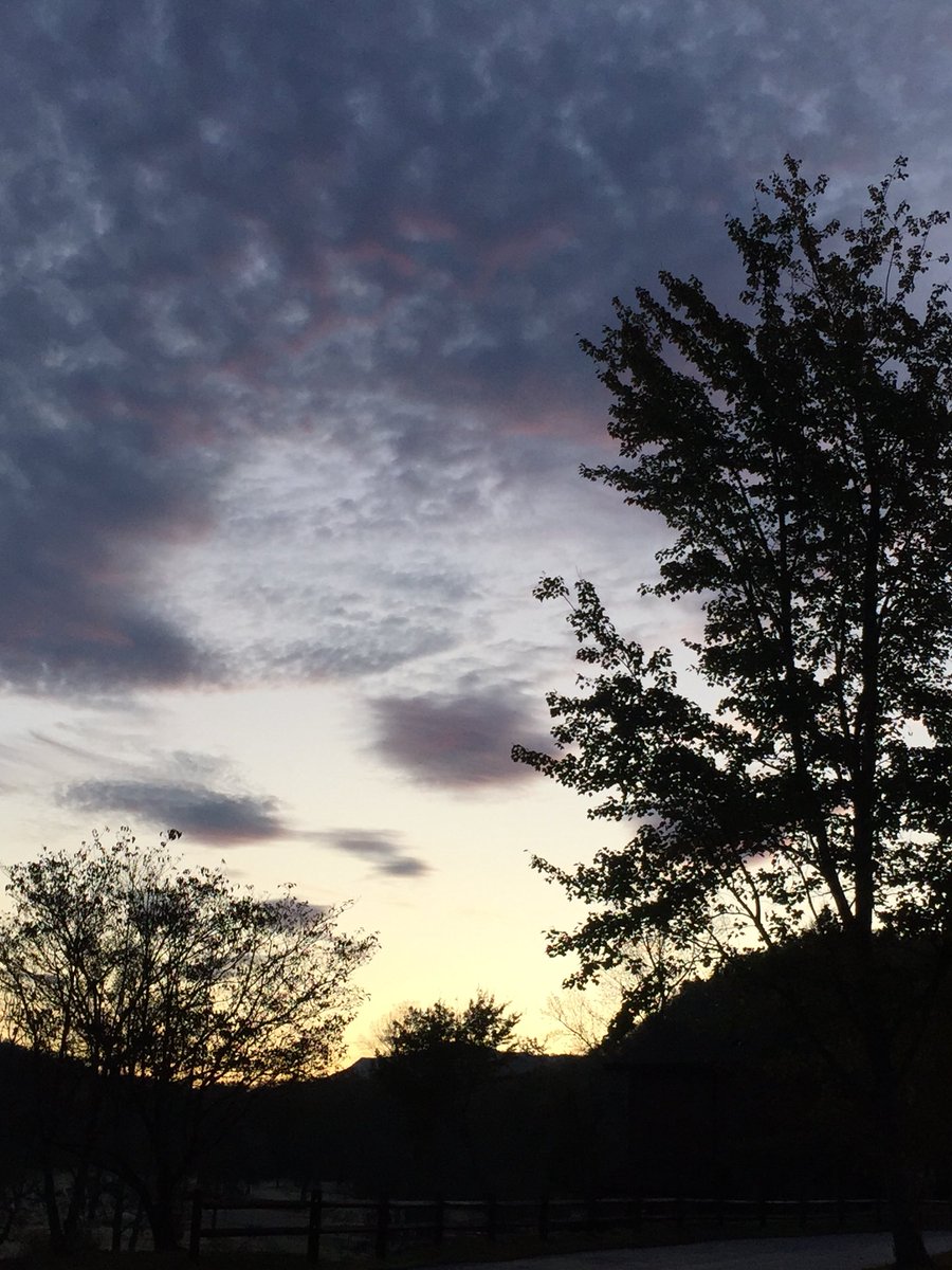 larainewarren's tweet photo. @spann  Love my Sunrise walks in the mountains! 15 miles outside of Gatlinburg, between Pittman Center and Cosby, TN. https://t.co/8BtCpFKhcZ