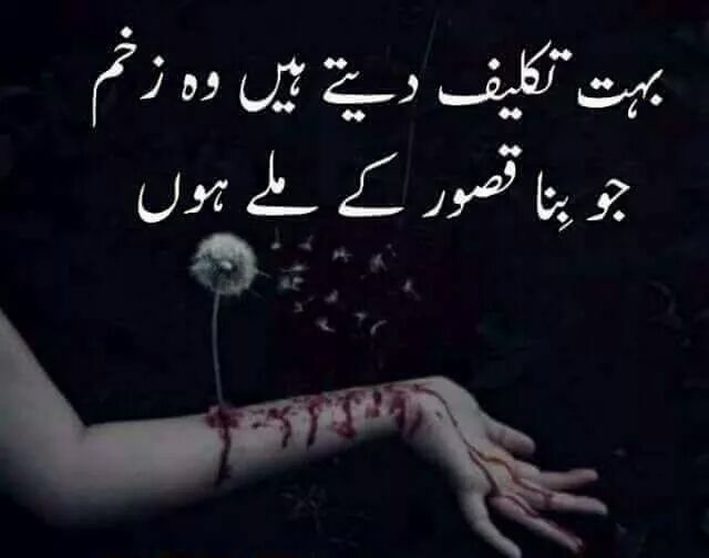 RoqiaSyeda's tweet photo. https://t.co/ueYqFRrwaP