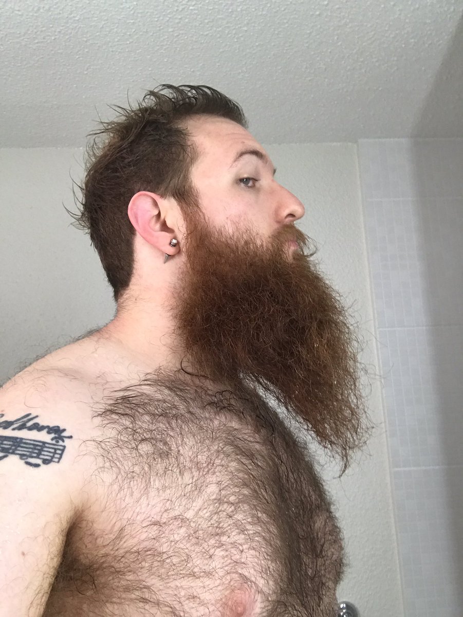 SubCubby92's tweet photo. My beard be like this today. #wetbeard #longbeard #postshower #beardforbeard #gaybeard #fuckmedaddy #boyfordaddy https://t.co/Wc6rr7Qnr3