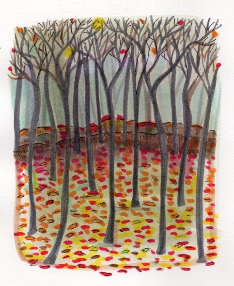 drawstuff's tweet photo. There are two chances to enjoy the fall colors. #doodle #coloredforestfloor #leaveshavefallen https://t.co/pMQtdcoWzk