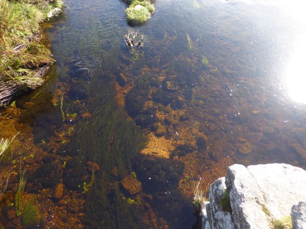 DARTMOOR NATIONAL PARK #Dartmoor #Devon @DartmoorDevon