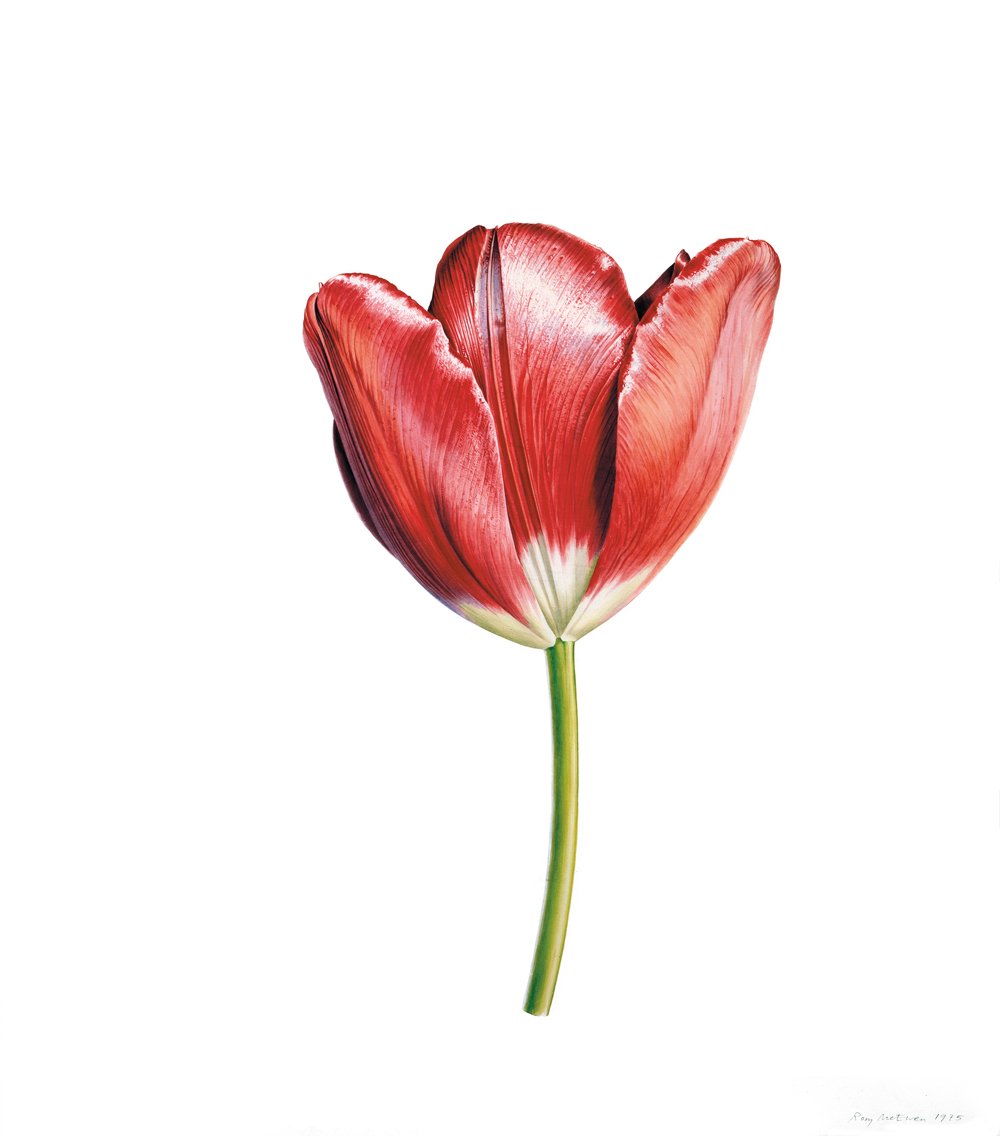 TheBowesMuseum's tweet photo. #DontMissOut on winning a #FamilyPass & join us on #FamFunDay 28October Subscribe to Tulips enewsletter: https://t.co/KDIdiYXBEC 28October https://t.co/UHQSHOoz8M