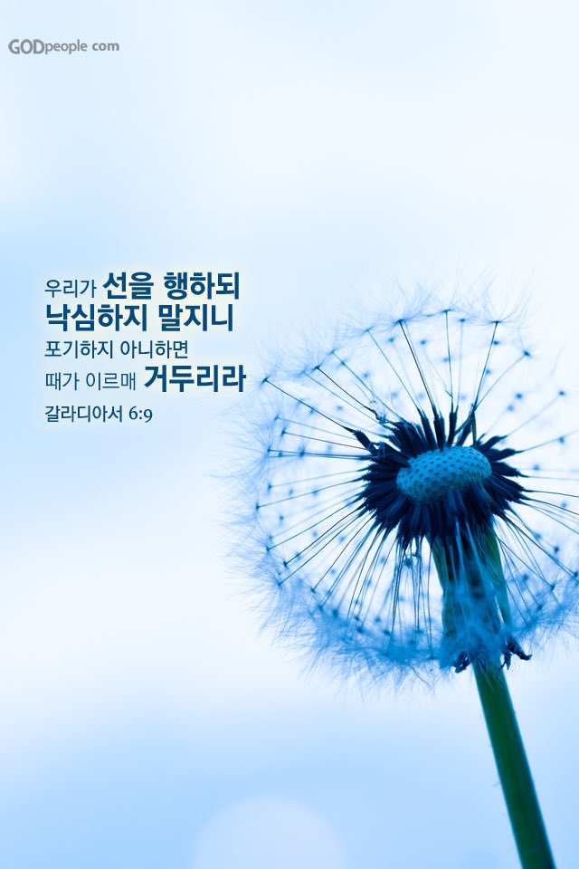 johnkim35575's tweet photo. “너는 범사에 그를 인정하라 그리하면 네 길을 지도하시리라 스스로 지혜롭게 여기지 말찌어다 여호와를 경외하며 악을 떠날찌어다 이것이 네 몸에 양약이 되어 네 골수로 윤택하게 하리라”
잠언 3:6-8 KRV https://t.co/oi2MDbYwmZ