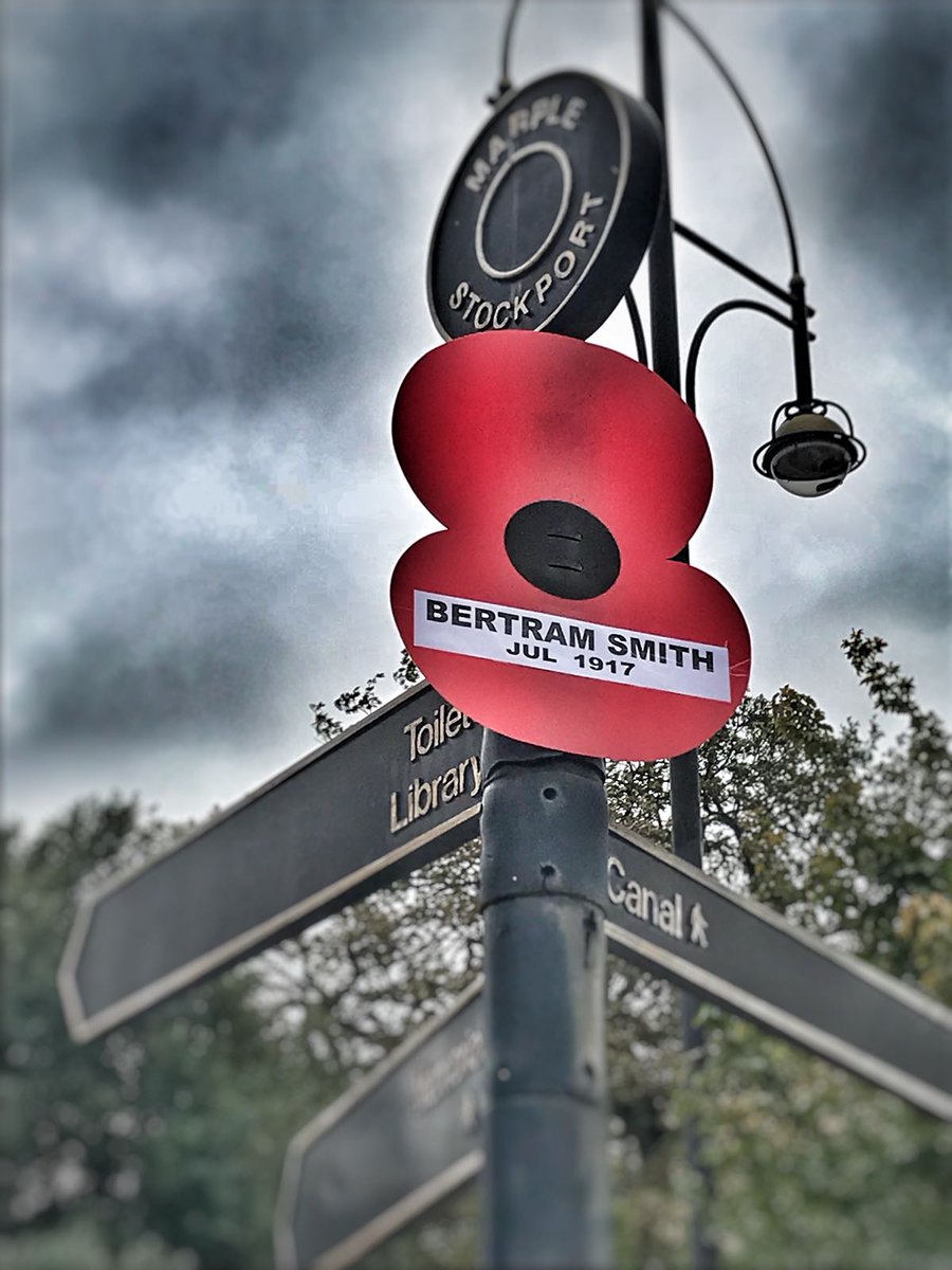 One of the Marple Street Poppies