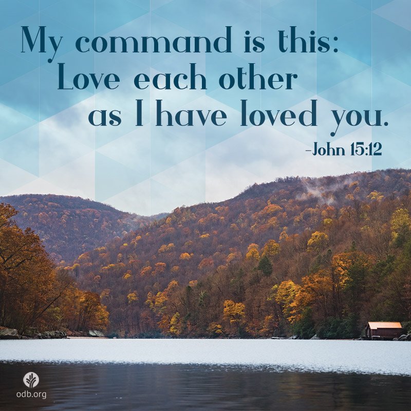ourdailybread's tweet photo. https://t.co/8BKGeZLmmB