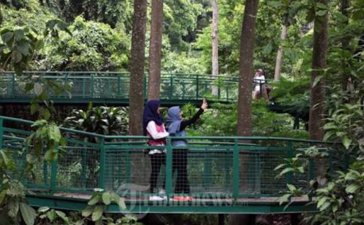 Ridwan Kamil On Twitter Nanti Hasilnya Seperti Forestwalk