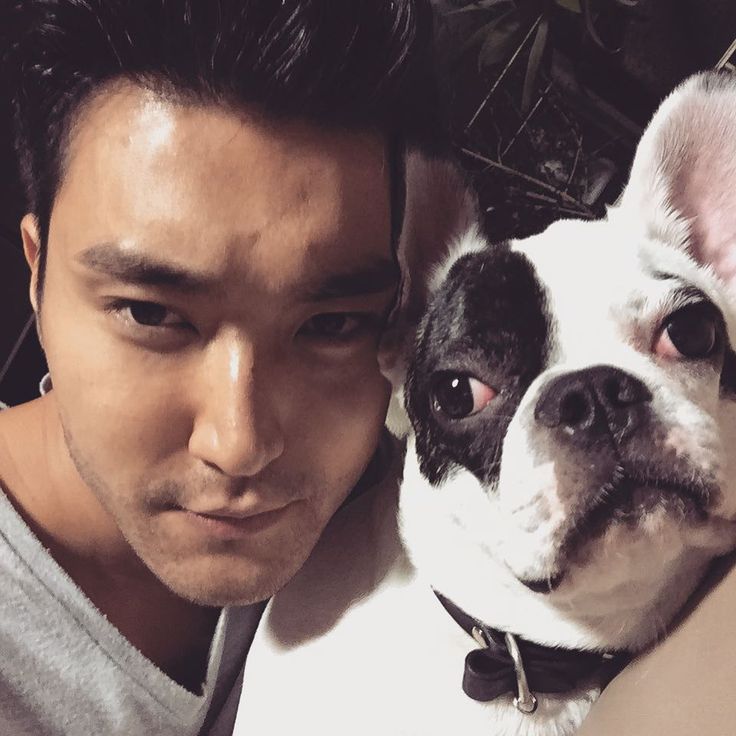 CKpopers's tweet photo. Anjing peliharaannya menggigit tetangga hingga tewas, #Siwon  #SUPERJUNIOR &amp; keluarga umumkan permintaan maaf

──────
©KWI
vir🐣 https://t.co/bl9pt9SrFA