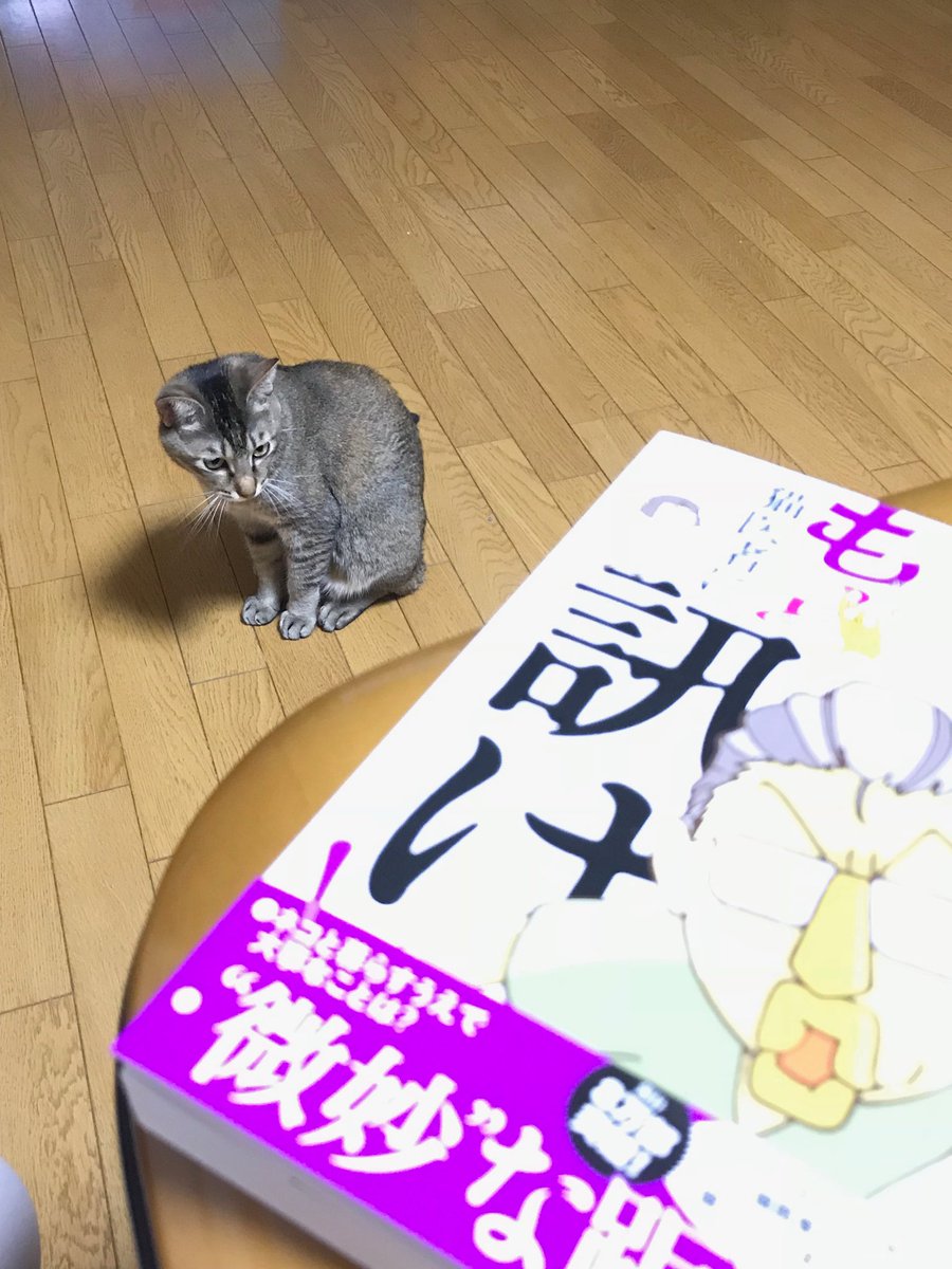 猫医者に訊け