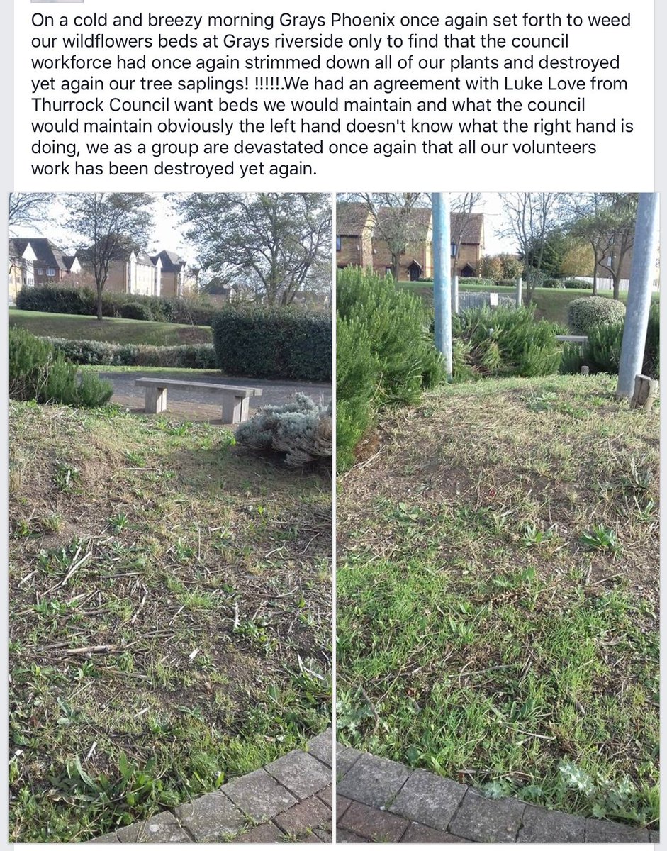 GraysPhoenix's tweet photo. #GraysPhoenix volunteers are upset again, due to the careless attitude of #Thurrock Council @yourthurrock @TheJohnKent @thurrockcouncil https://t.co/4iTnkoE3v5
