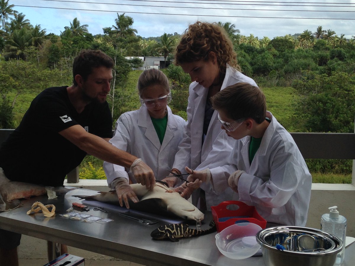 Morgen: reisverslag ZYP Haai-alarm expeditie op tv. Super interessant! Op 23 t/m 26 oktober om 18.40 uur en zaterdag 28 oktober om 14.30 uur