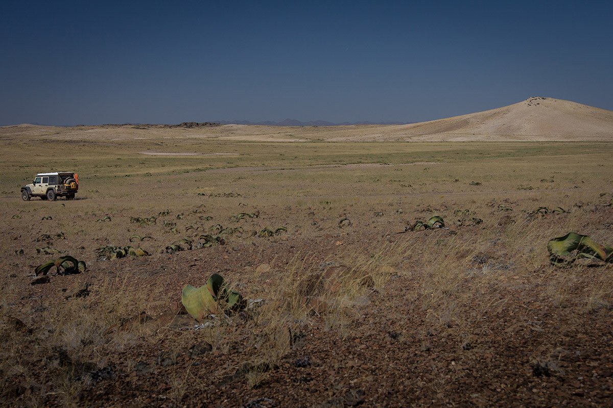 TheRoadChoseMe's tweet photo. I'm heading into the monster Namib Desert. I also increased gas capacity a little..
https://t.co/EeCS43rh2S
#Angola https://t.co/H14sFiplIc
