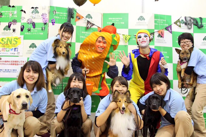 渡辺 志帆さん がハッシュタグ 大宮国際動物専門学校 をつけたツイート一覧 1 Whotwi グラフィカルtwitter分析 渡辺 志帆さん がハッシュタグ 大宮国際動物専門学校 をつけたツイート一覧 1 Whotwi グラフィカルtwitter分析