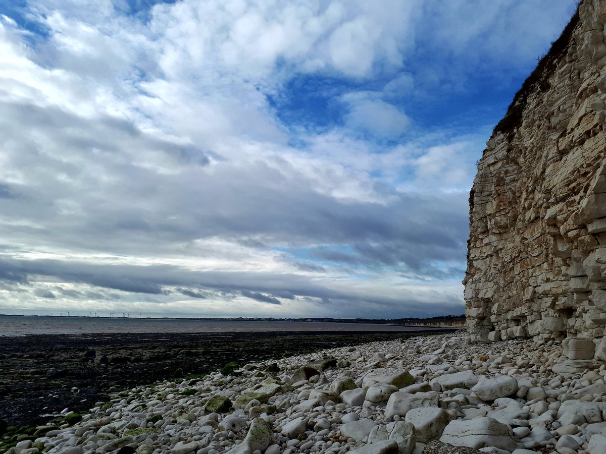 Dean Ward tweet media