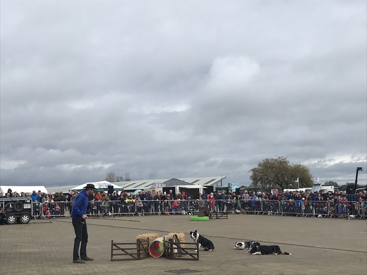 GemmaWhitehead1's tweet photo. Loved the @DogAndDuckShow https://t.co/R8ZYrn6lCu