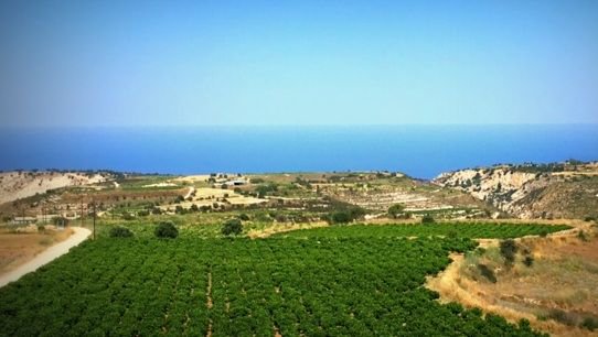 CyprusWines's tweet photo. A classical holiday destination reimagined for wine enthusiasts in mind  @lucy_coghlan  https://t.co/tGDvAnmBvR @Elysium_Hotel #cypruswine https://t.co/So3RpvolI1