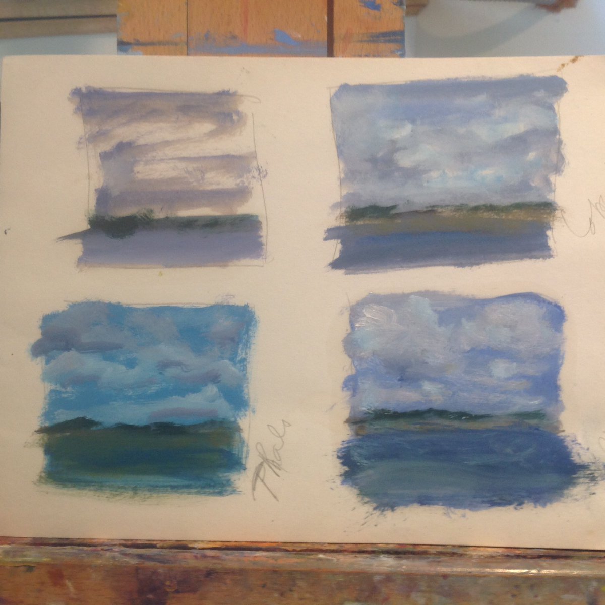 DebraKennedyart's tweet photo. Planning and playing. #capecpd #landscape #oilpainter https://t.co/SkLF8UibxX