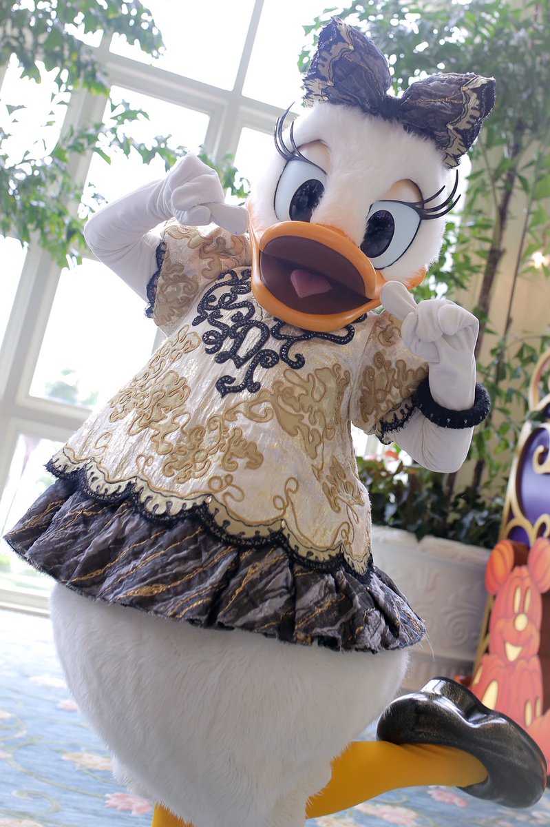 Disney13awf's tweet photo. 今回一番の目的、アイシャドウが
ゴールドのデイジー:;(∩´﹏`∩);:♡
そんなの会いに行くに決まってる…
ああぁあ、可愛い可愛い可愛い。 https://t.co/8xESpxbcZg