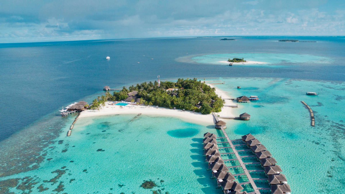 SCUBARDIVE's tweet photo. This January we’ll be reviewing the beautiful Maafushivaru resort located in South Ari Atoll. From the water villas to the amazing diving https://t.co/oFDwRT1OPT