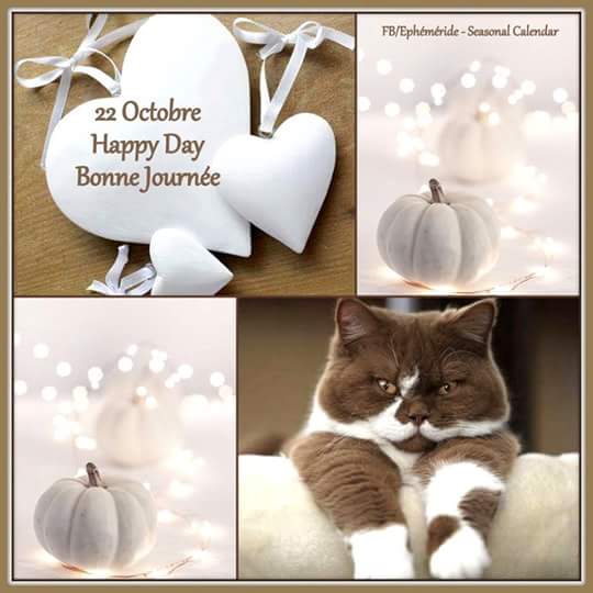 Mary_Zarifah's tweet photo. #Good_morning #Bonjour #Bonne_journée
#Happy_Sunday #Happy_day #22October2017
#صباح_الخير🌸🌸 #صباح_السعادة🌸🌸
#بنت_المسيح https://t.co/arsipmIdBw
