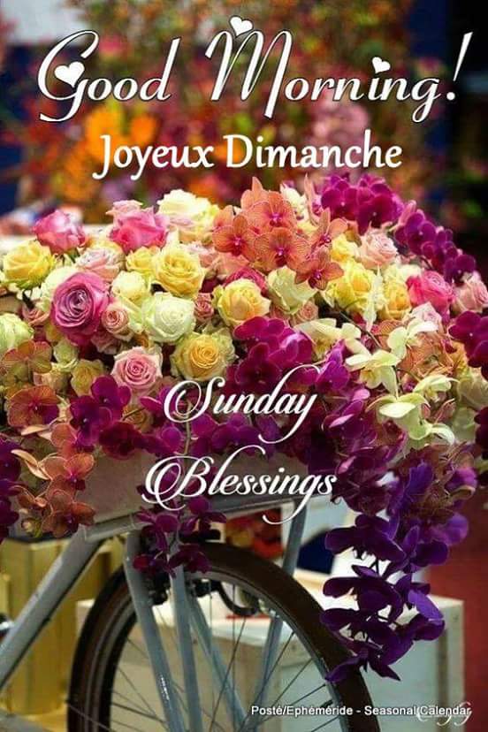 Mary_Zarifah's tweet photo. #Good_morning #Bonjour #Bonne_journée
#Happy_Sunday #Happy_day #22October2017
#صباح_الخير🌸🌸 #صباح_السعادة🌸🌸
#بنت_المسيح https://t.co/Gpb5XsW686