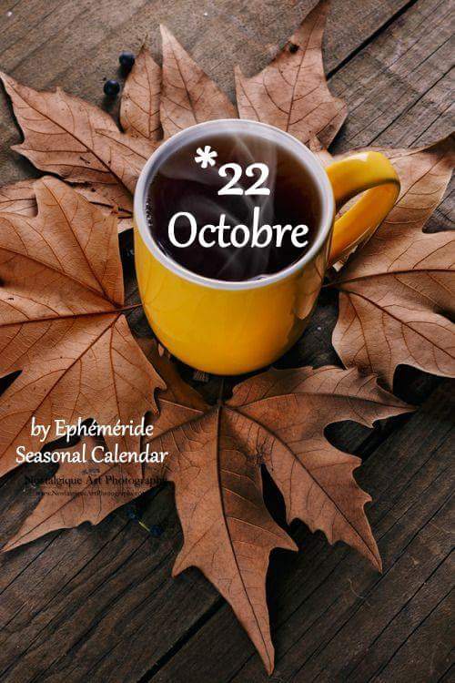 Mary_Zarifah's tweet photo. #Good_morning #Bonjour #Bonne_journée
#Happy_Sunday #Happy_day #22October2017
#صباح_الخير🌸🌸 #صباح_السعادة🌸🌸
#بنت_المسيح https://t.co/Gpb5XsW686