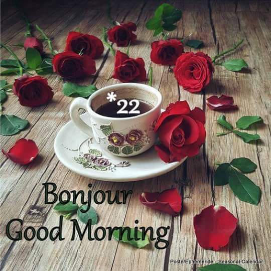 Mary_Zarifah's tweet photo. #Good_morning #Bonjour #Bonne_journée
#Happy_Sunday #Happy_day #22October2017
#صباح_الخير🌸🌸 #صباح_السعادة🌸🌸
#بنت_المسيح https://t.co/Gpb5XsW686