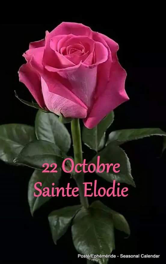 Mary_Zarifah's tweet photo. #Good_morning #Bonjour #Bonne_journée
#Happy_Sunday #Happy_day #22October2017
#صباح_الخير🌸🌸 #صباح_السعادة🌸🌸
#بنت_المسيح https://t.co/lhbUCVwdOt