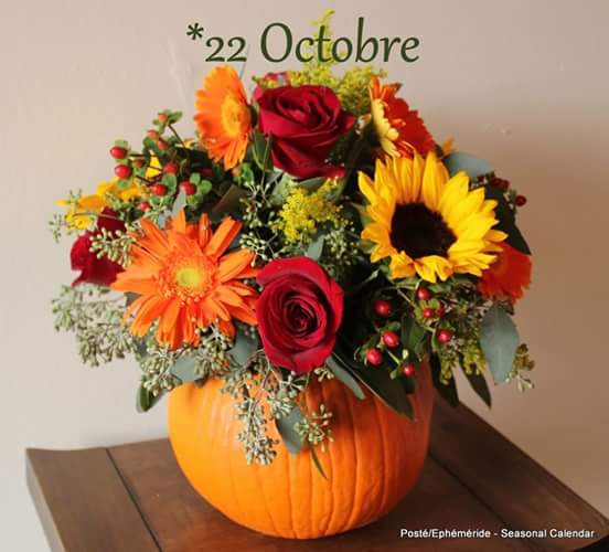 Mary_Zarifah's tweet photo. #Good_morning #Bonjour #Bonne_journée
#Happy_Sunday #Happy_day #22October2017
#صباح_الخير🌸🌸 #صباح_السعادة🌸🌸
#بنت_المسيح https://t.co/lhbUCVwdOt