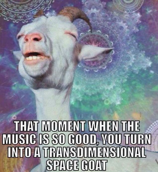 HemlockFest's tweet photo. This will happen. #HemlockFest Nov 3-5, 2017. Tix @  https://t.co/vxJl7uOV6y https://t.co/WjiFaAyI9A