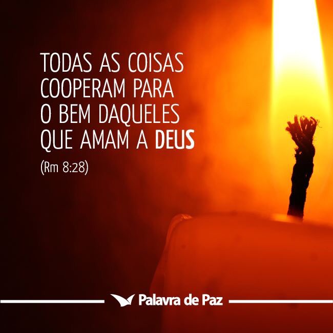 palavradpaz's tweet photo. Que Deus abençoe seu domingo. Bom dia. https://t.co/8rIvbbUwB2