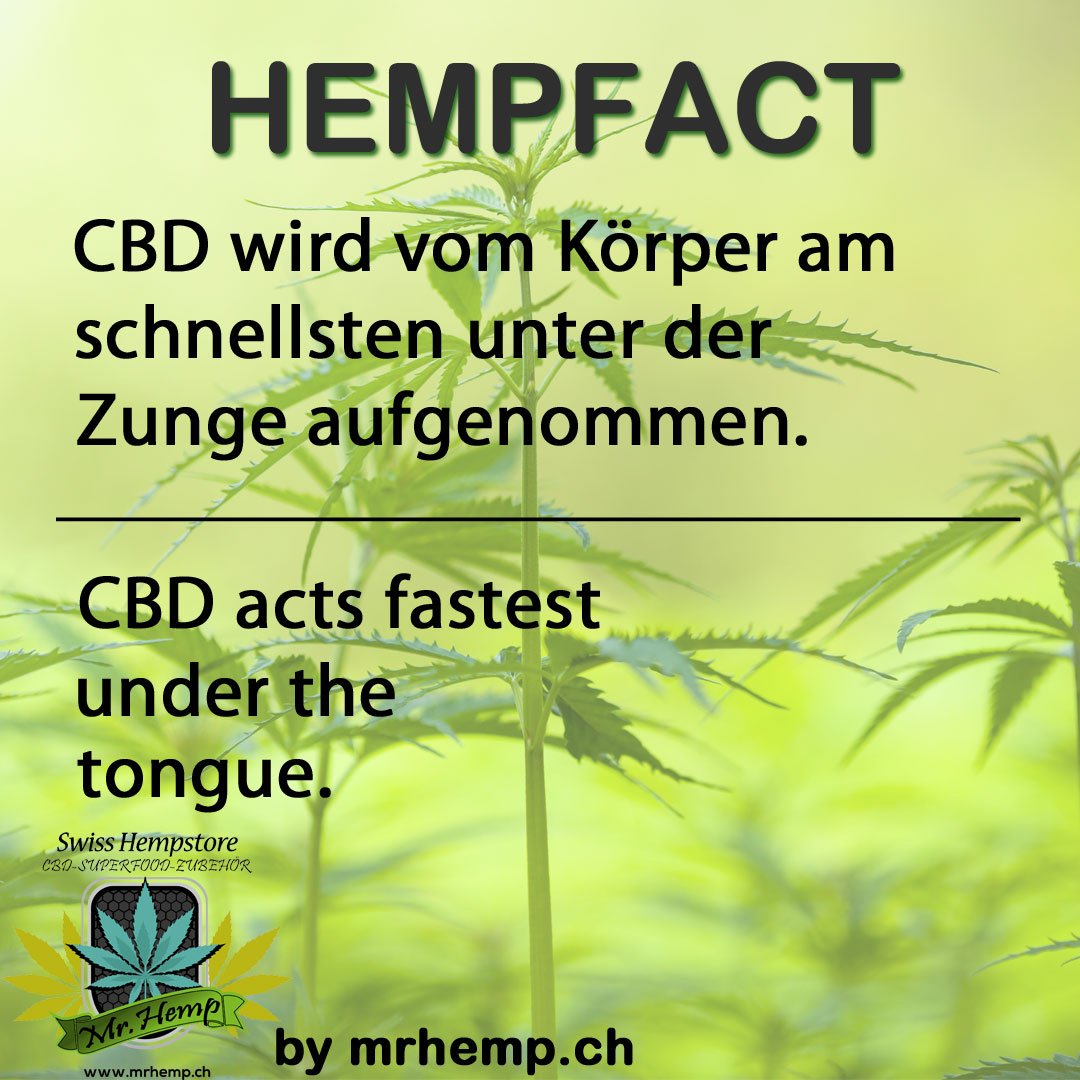 MrHempCH's tweet photo. !!#HEMPFACT!! #Spruch #Hanffeld #Buds #fakten #weed #tongue #CBD #Blüten #cannabis #hanf #instaweed #Ganja #Swiss https://t.co/nelfcy8xWR https://t.co/Pyb6GifChT