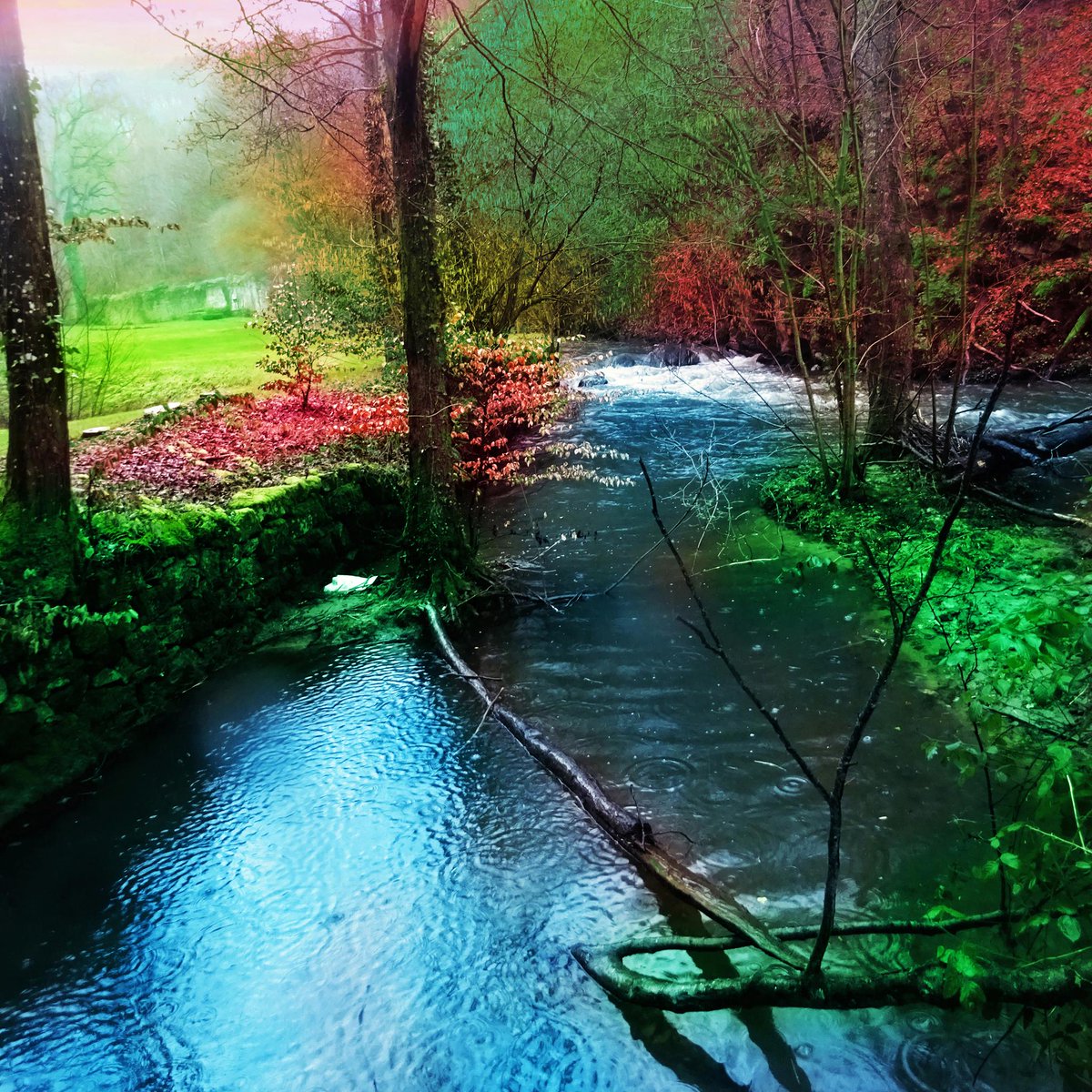 valmont1702's tweet photo. • Bohemian Verdant #muddywaters #blueriver #redleaves #brokentrunk #wildbranches #streams #kaakko135 #rainywalk #wildforest #reflectiongram https://t.co/Db99cYKeT3