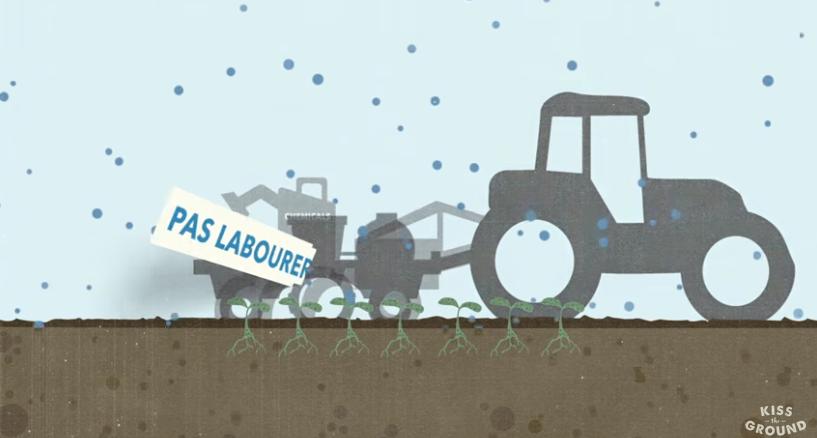 Faire passer le #carbone de l'#atmosphère au #sol en passant par les #cultures, les couverts végétaux et le #mulch
je-pature.com/lhistoire-du-s…