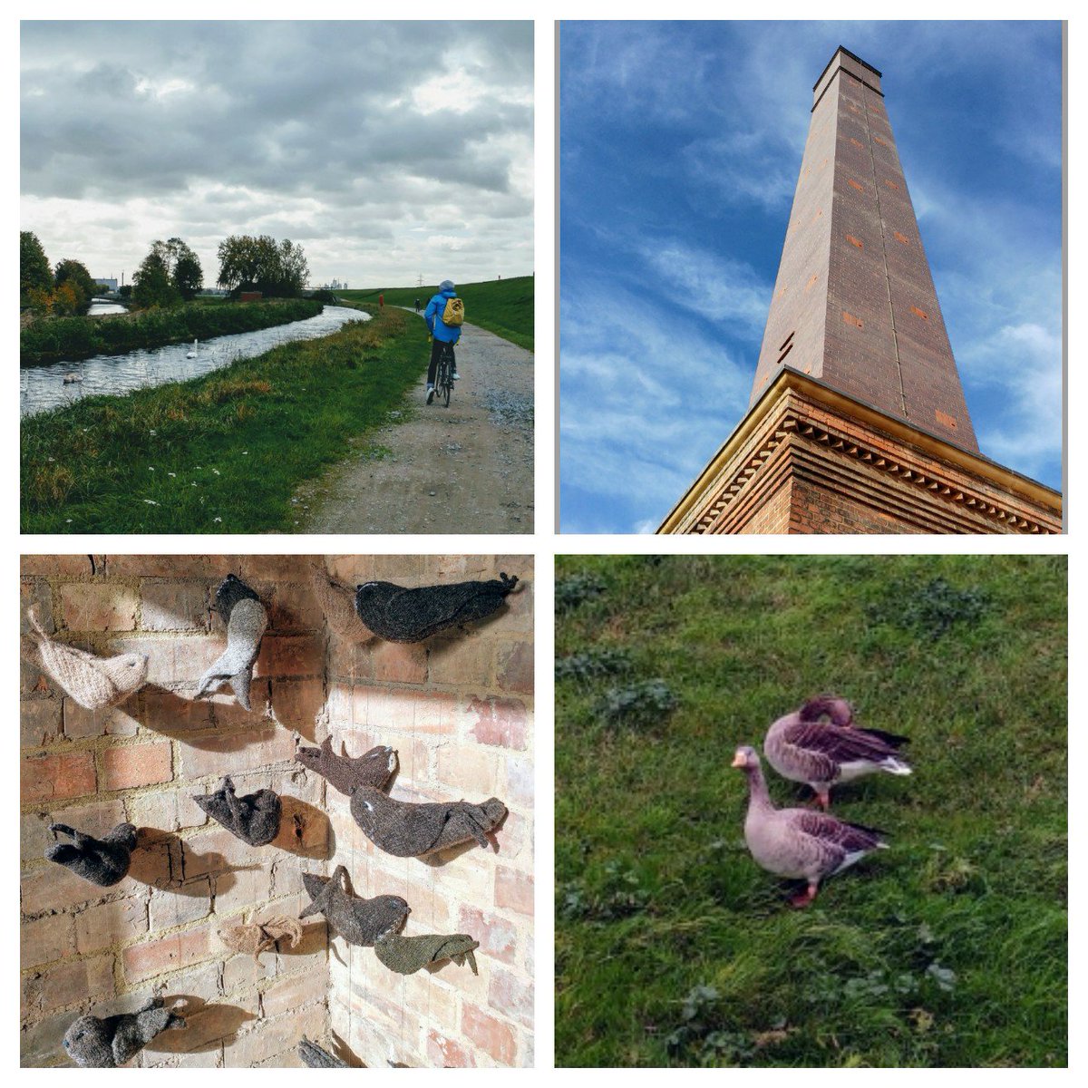 CottageHello's tweet photo. A beautiful morning exploring Waltham Forest's newly-opened @E17Wetlands Thank you @wfcouncil @heritagelottery @WildLondon @thameswater ❤ https://t.co/84O3vIIaRw