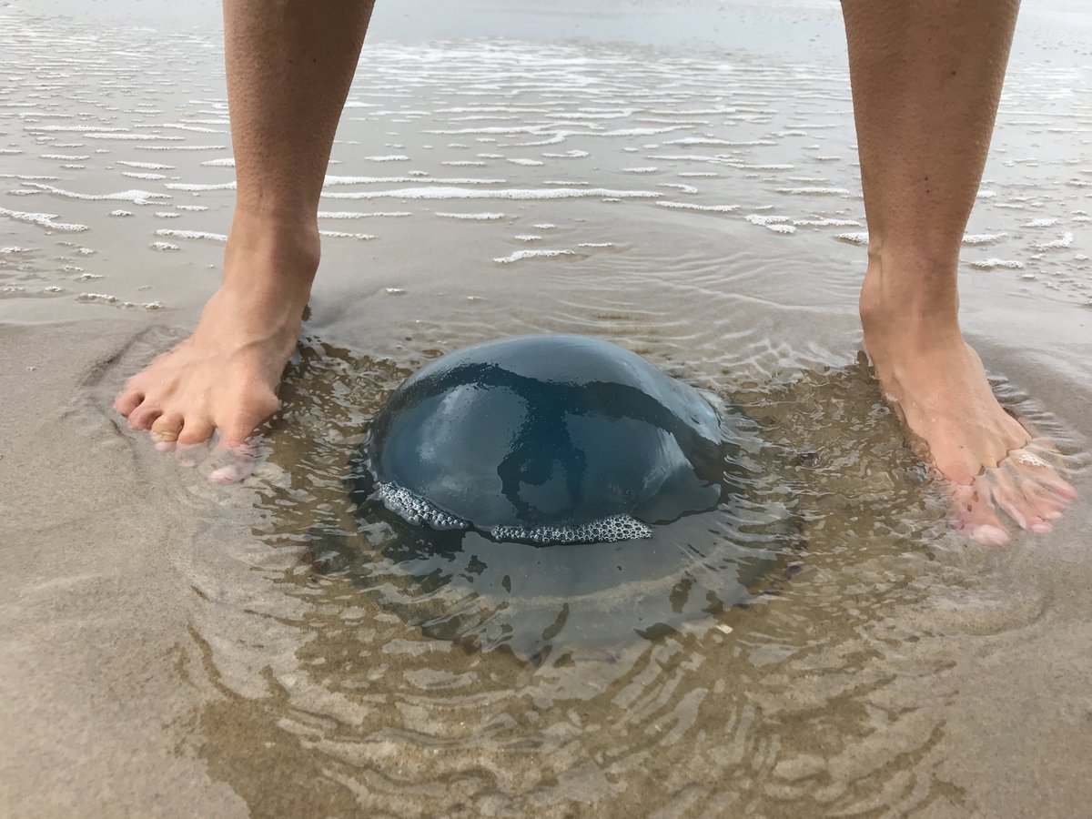 Feetback020's tweet image. Uitwaaien #Barefoot op strand met vreemde objecten ;-)